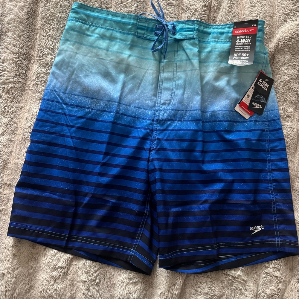 Speedo Gradient Blue Board Shorts